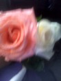 /album/noviazgo-en-la-adolescencia-/img-20140620-145328-jpg/
